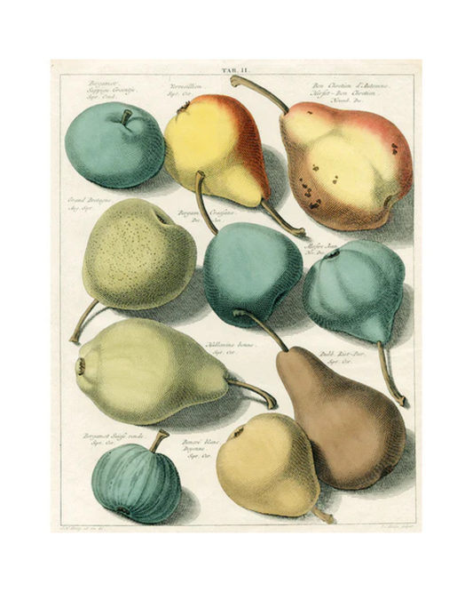 John Derian Company | Pear Tab, 11 x  14" Rect. Tray