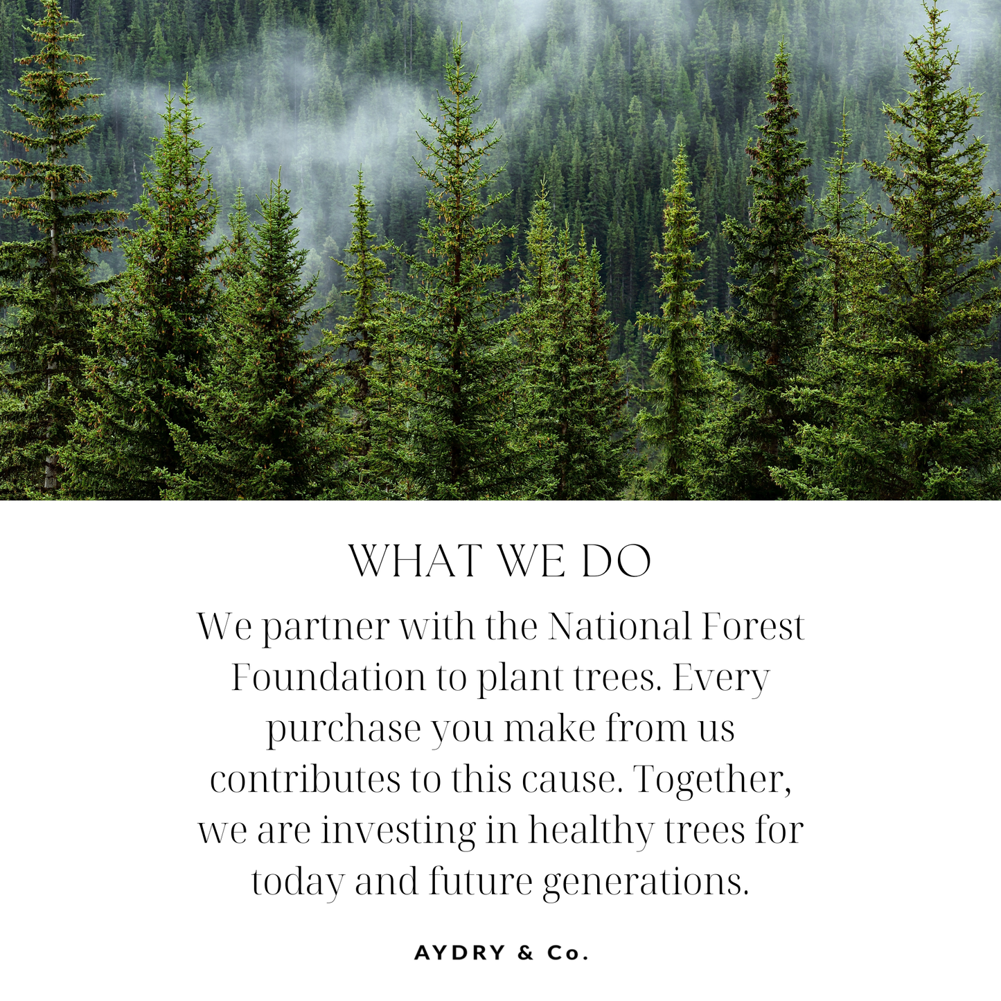 ADRY & Co | BOHEMIAN FOREST CANDLE