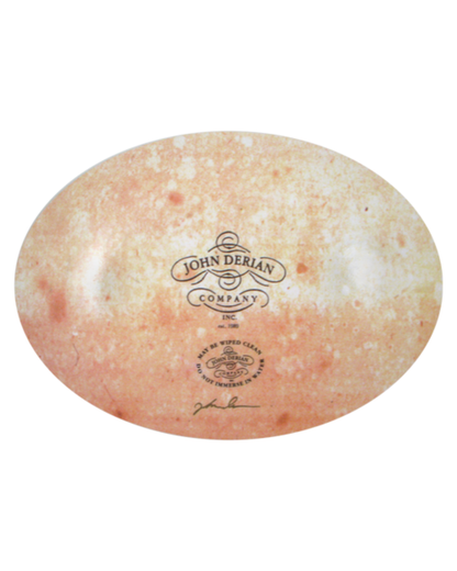 John Derian Company | Shells 7"x10" Oval Plate