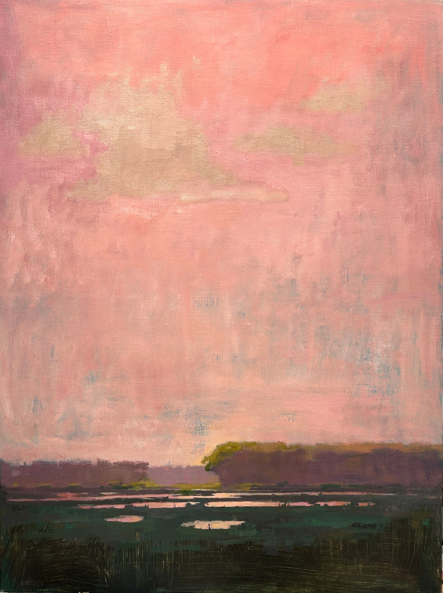 Coral Sky by Brooks Frederick