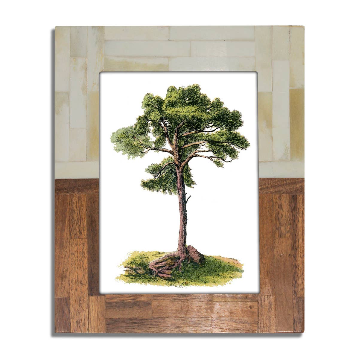 Half Split Wood & Bone Photo Frame 5x7