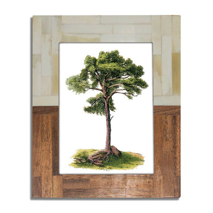 Half Split Wood & Bone Photo Frame 5x7