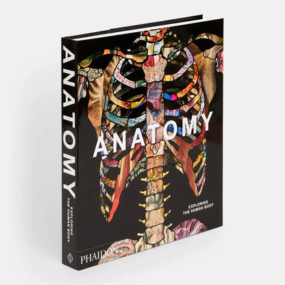 Anatomy