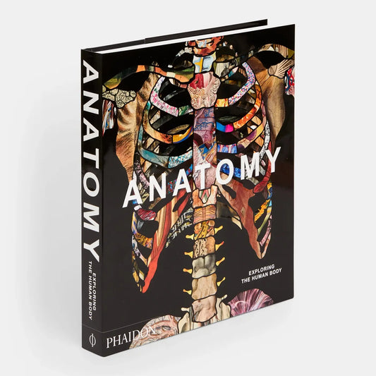 Anatomy
