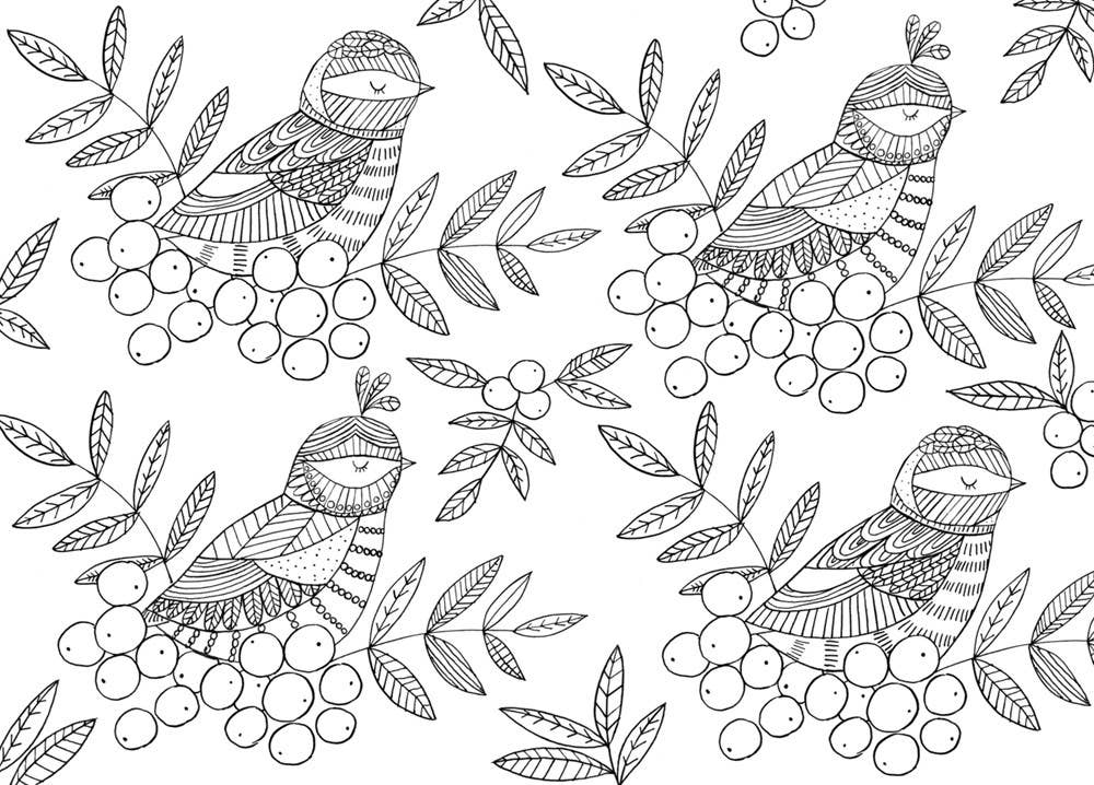The Mindfulness Coloring Book: Paperback