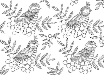 The Mindfulness Coloring Book: Paperback
