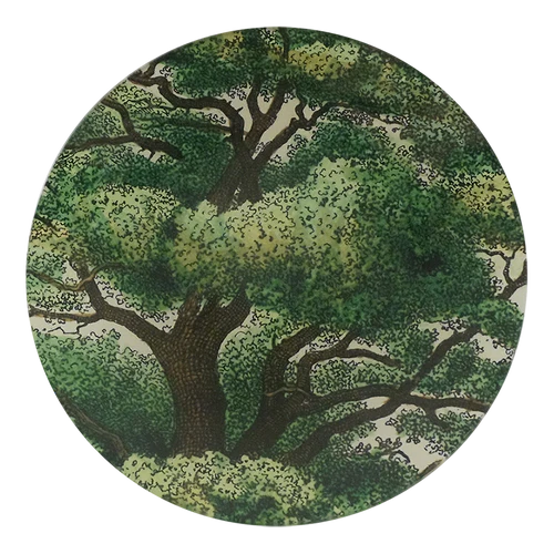 John Derian | Branches 5 3/4" Round Plate