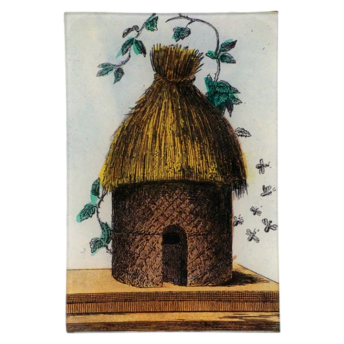 John Derian | Hive 6x9 Tray