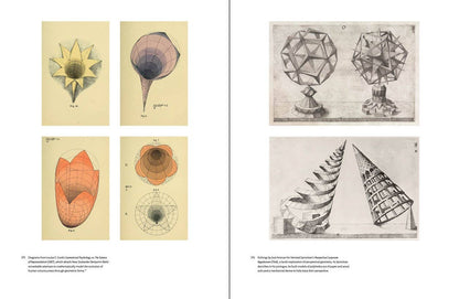Affinities: Hardcover