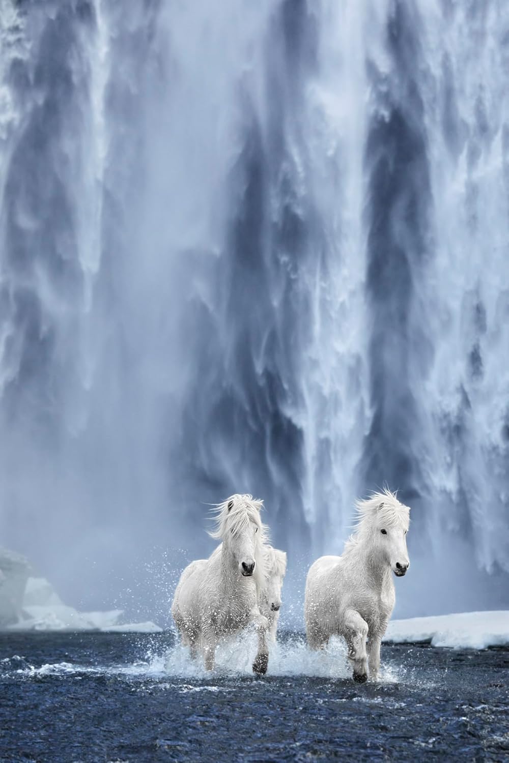 Untamed Spirits: Horses From Around the World