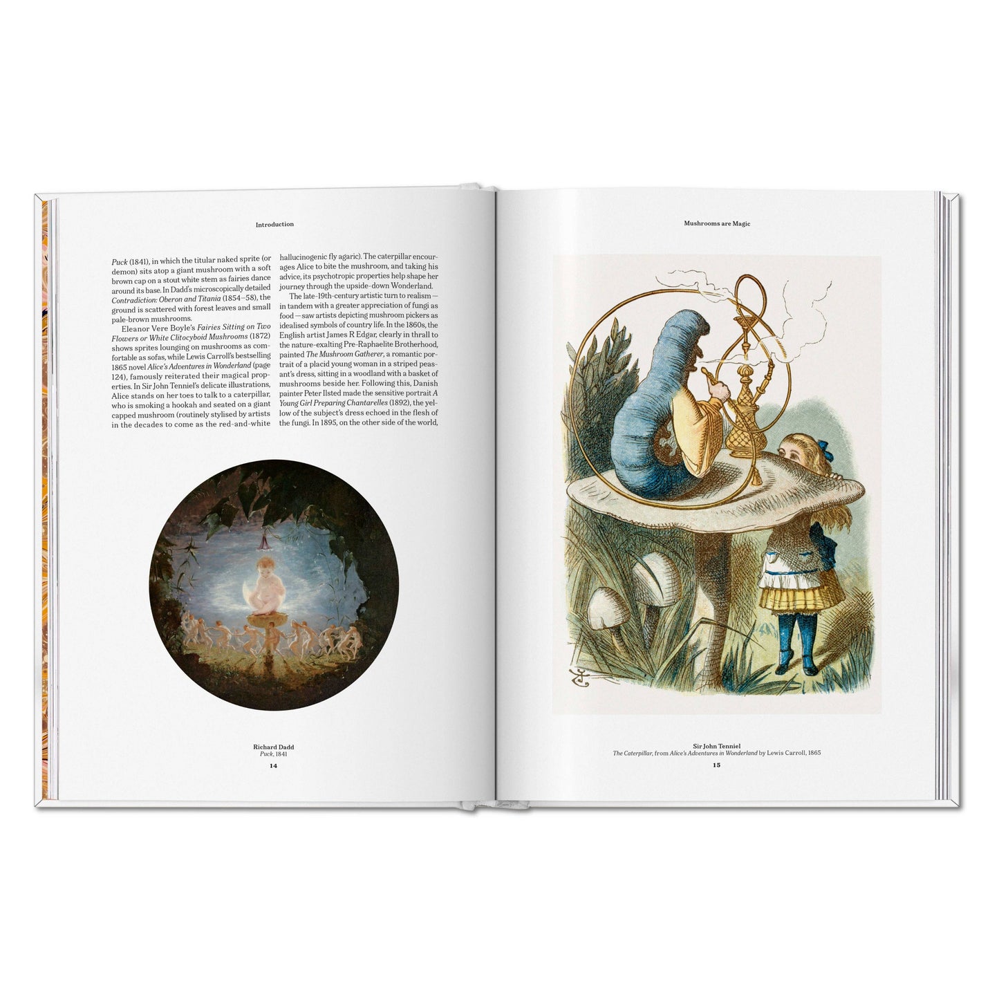 The Gourmand's Mushroom. A Collection of Stories and Recipes (English)