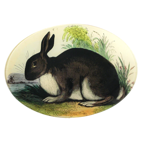 John Derian Rabbit 7 x 10