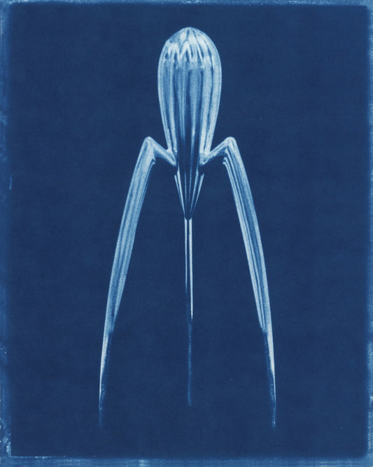 Alien Reamer, Framed by David Sokosh
