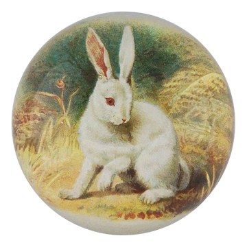 White Bunny Dome Paperweight