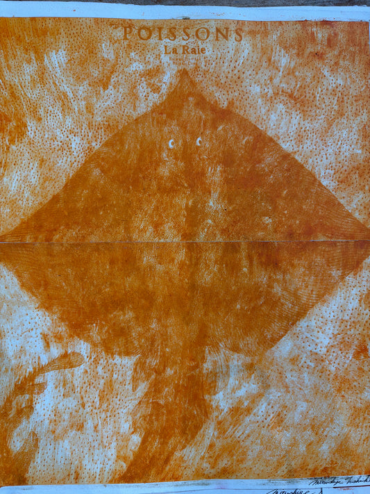 Poissons La Raie by Mitsushige Nishiwaki