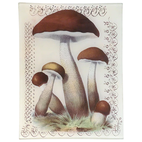 John Derian | Mushroom with Lace 8x10.5 Tray