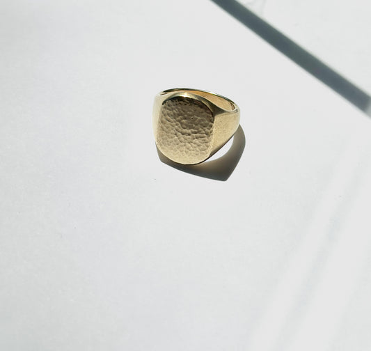 Sonja Fries |  XL Signet Ring in Brass