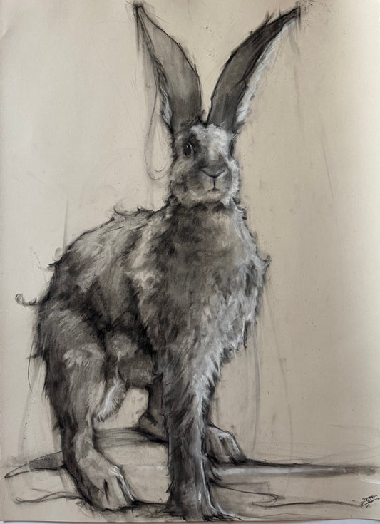 Jackrabbit #6 by Madeline Owen