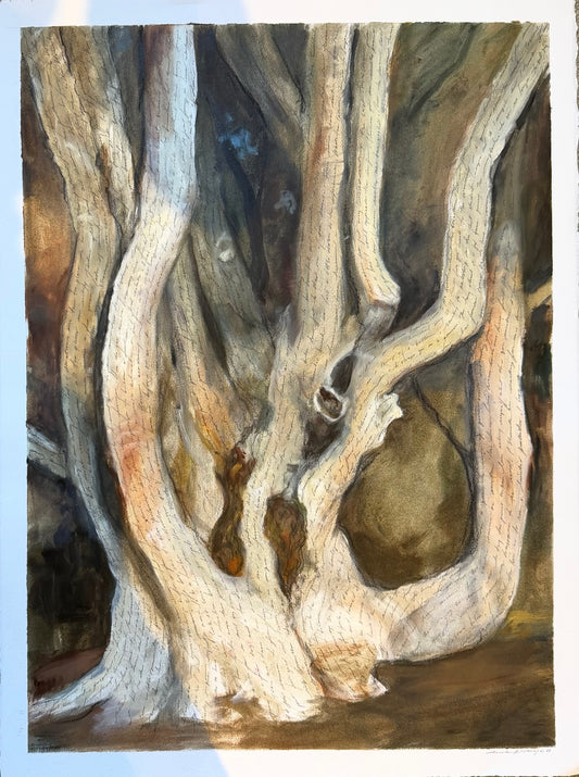 Tree by Amanda Kavanagh