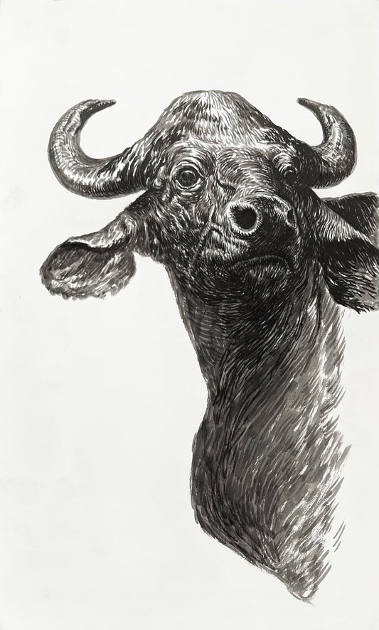 Water Buffalo by Guno Park