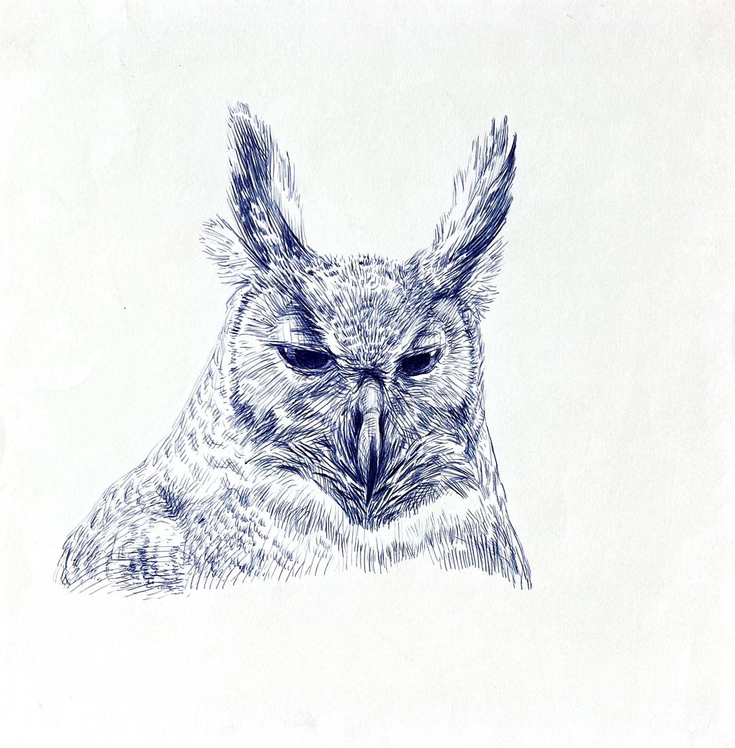 Owl by Guno Park