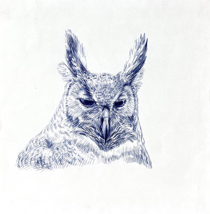 Owl by Guno Park