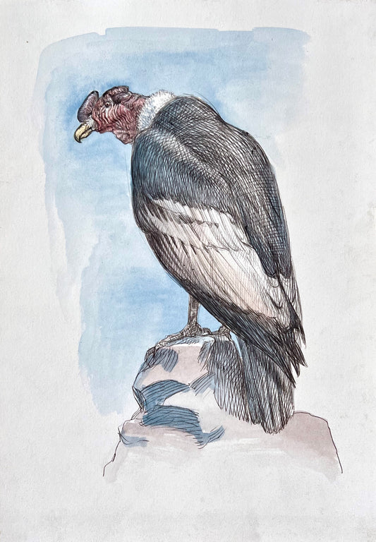 Vulture by Guno Park