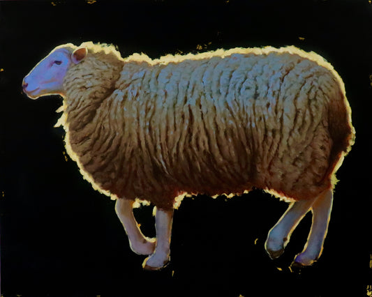 Sunset Sheep Glow Halo by Nicolas V. Sanchez