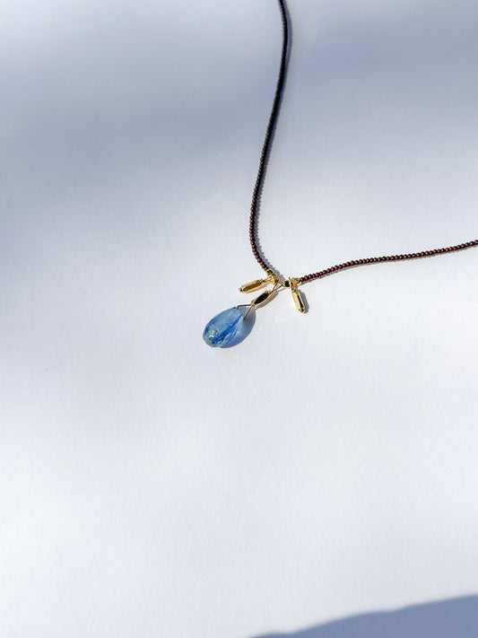 DEBBIE FISHER | Dark Brown Seed, Kyanite & Gold Vermeil Beads Necklace