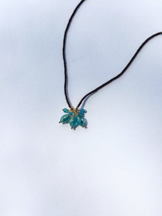 DEBBIE FISHER | Dark Brown Seed, Kyanite & Apatite Necklace
