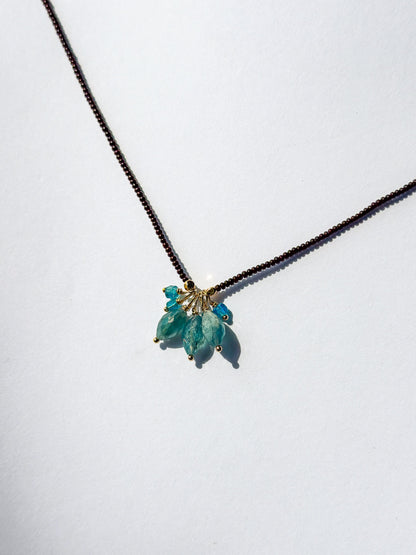 DEBBIE FISHER | Dark Brown Seed, Kyanite & Apatite Necklace