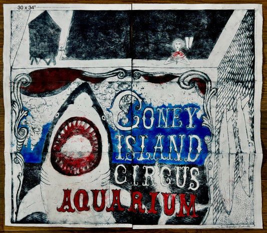 Coney Island Aquarium by Mitsushige Nishiwaki