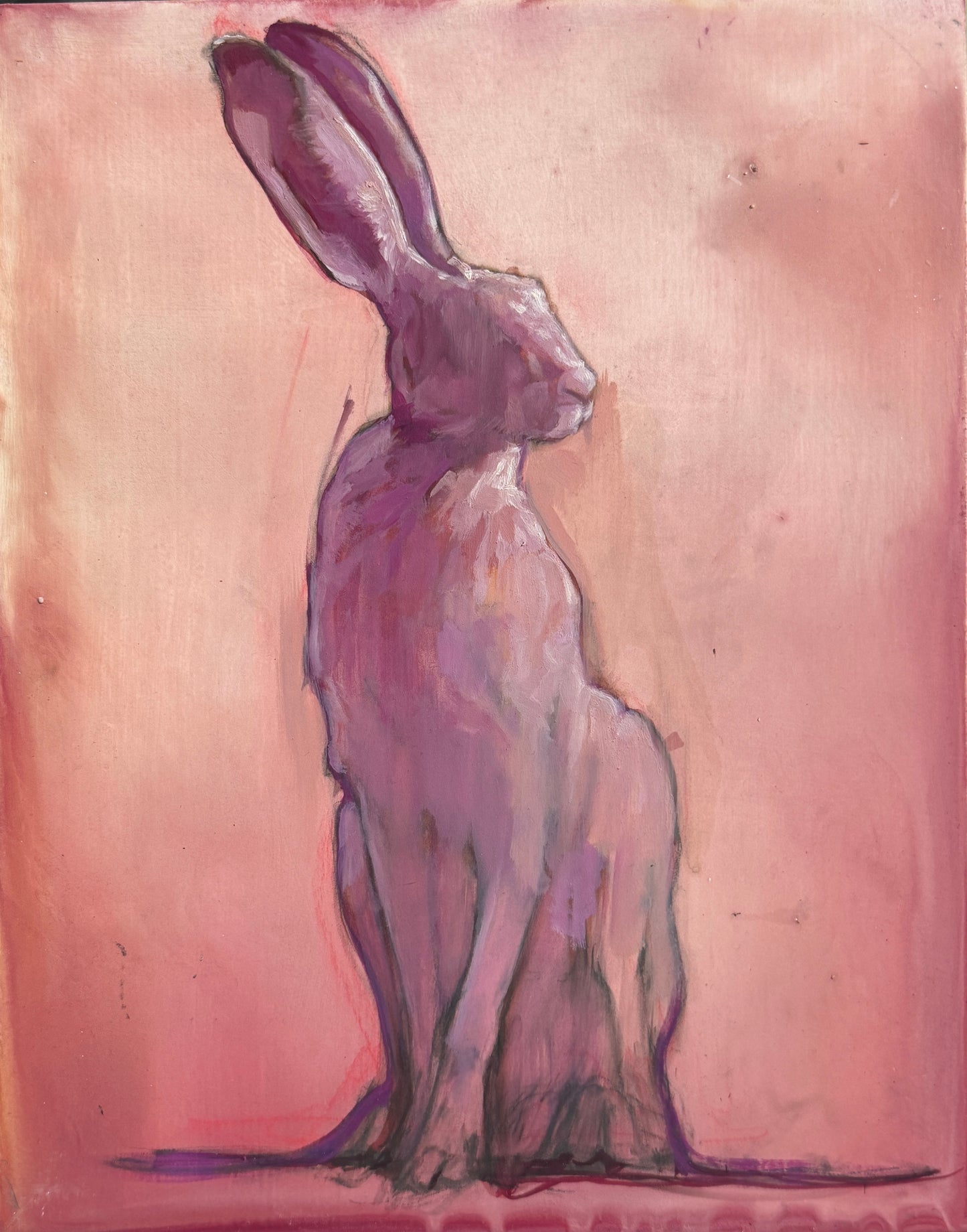 Pink Hare by Madeline Owen