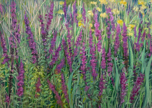 Field with Loosestrife by Regina Silvers