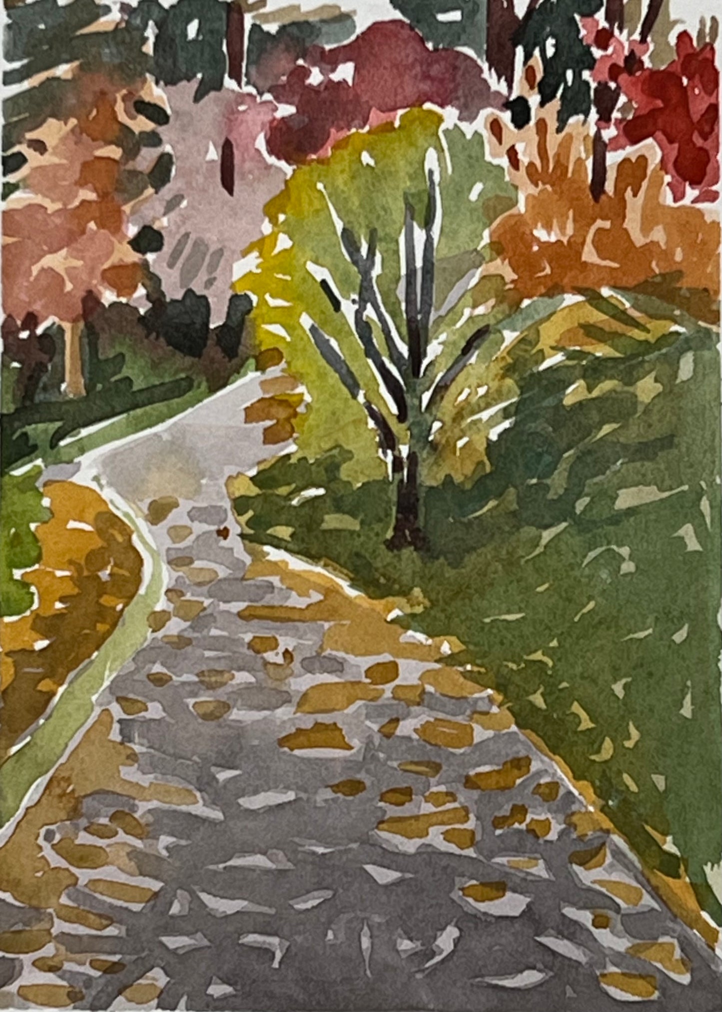 Dappled Path, Framed by Susan Greenstein