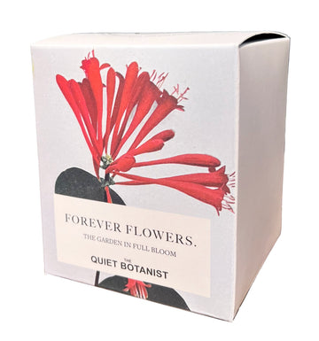 The Quiet Botanist | Forever Flowers Candle