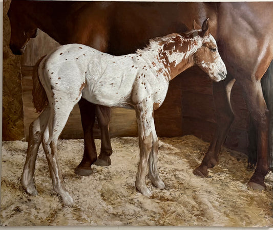 Apaloosa with Mother by Nicolas V. Sanchez