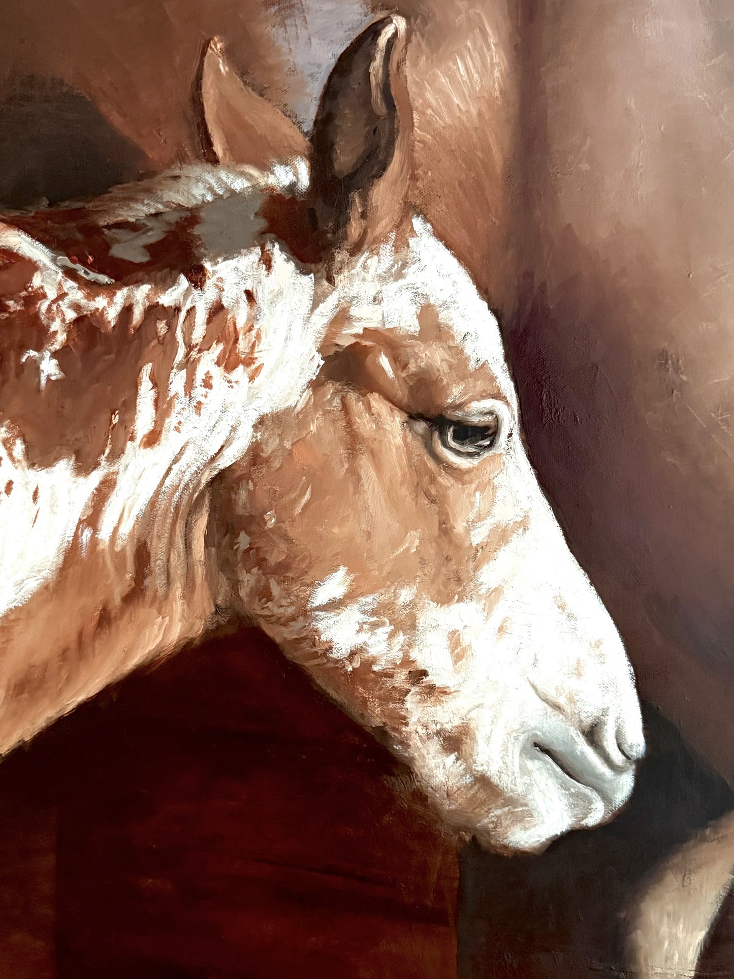 Apaloosa with Mother by Nicolas V. Sanchez