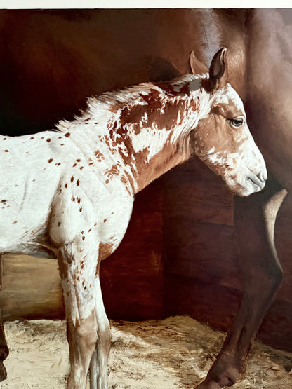 Apaloosa with Mother by Nicolas V. Sanchez