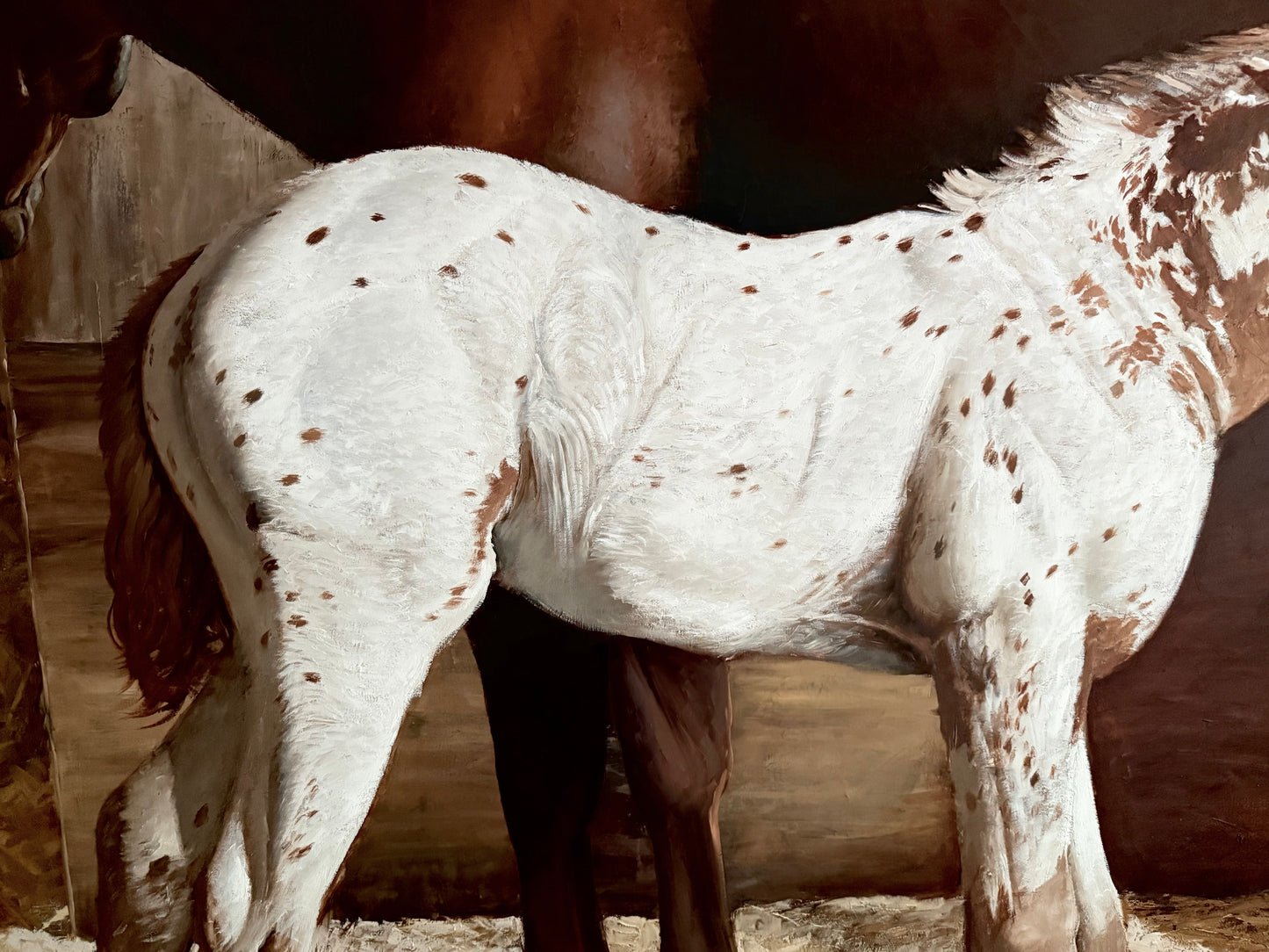 Apaloosa with Mother by Nicolas V. Sanchez