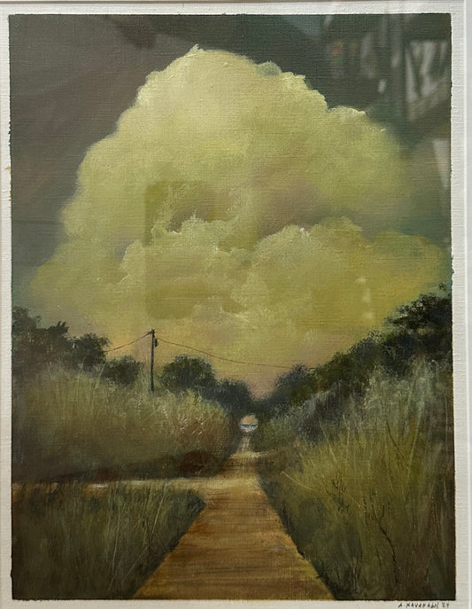 Assorted Originals, Matted & Framed by Amanda Kavanagh