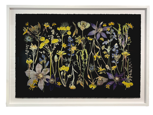 NIGHT MEADOW, Framed by Tricia Paoluccio