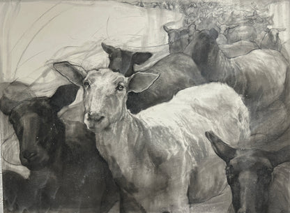 Running Sheep for "Interpretations" by Madeline Owen