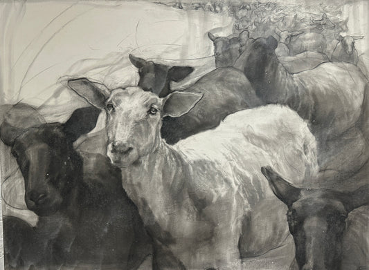 Running Sheep for "Interpretations" by Madeline Owen