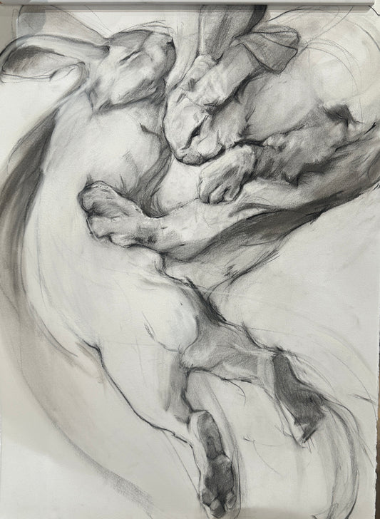 Fighting Rabbits by Madeline Owen