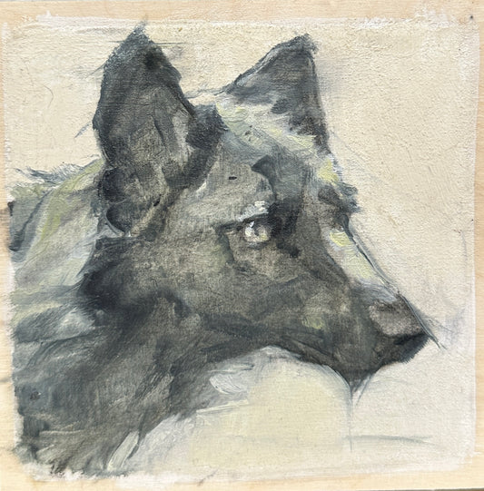 Wolf Portrait by Madeline Owen