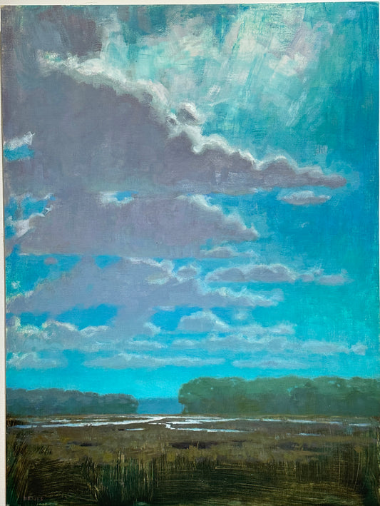 Afternoon Clouds by Brooks Frederick