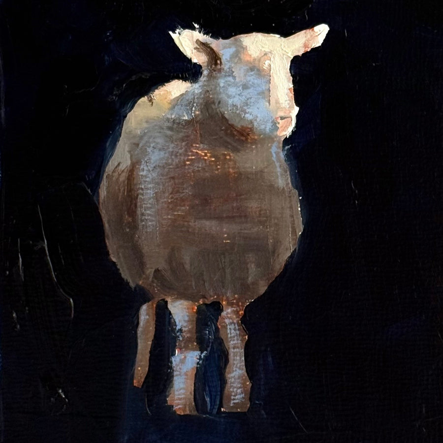 Nicolas Sanchez | Small Sheep Series #5