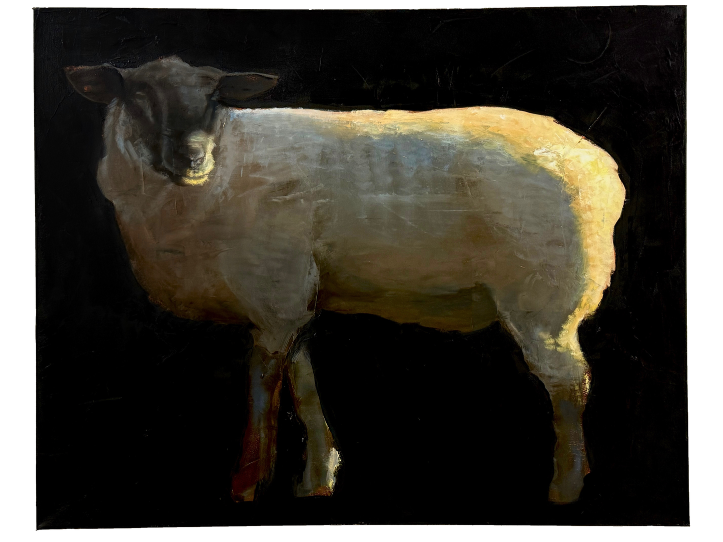 Sheep Glow I by Nicolas V. Sanchez