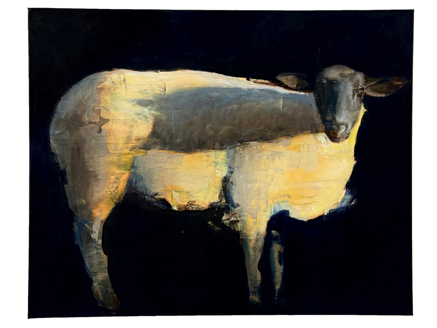Sheep Glow II by Nicolas V. Sanchez